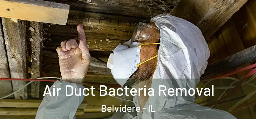  Air Duct Bacteria Removal Belvidere - IL