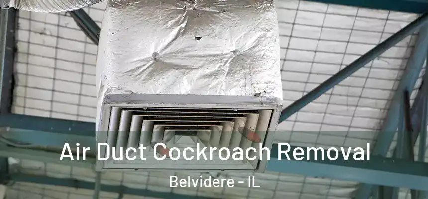  Air Duct Cockroach Removal Belvidere - IL