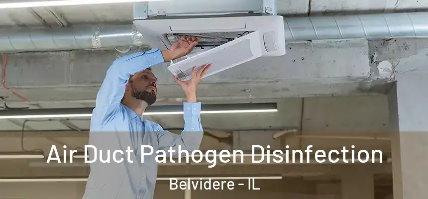 Air Duct Pathogen Disinfection Belvidere - IL