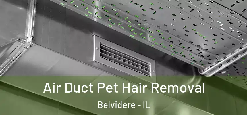  Air Duct Pet Hair Removal Belvidere - IL