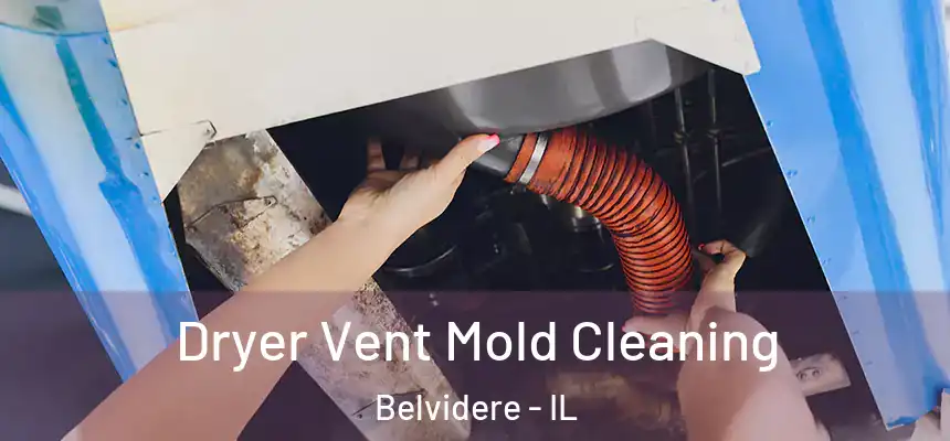  Dryer Vent Mold Cleaning Belvidere - IL