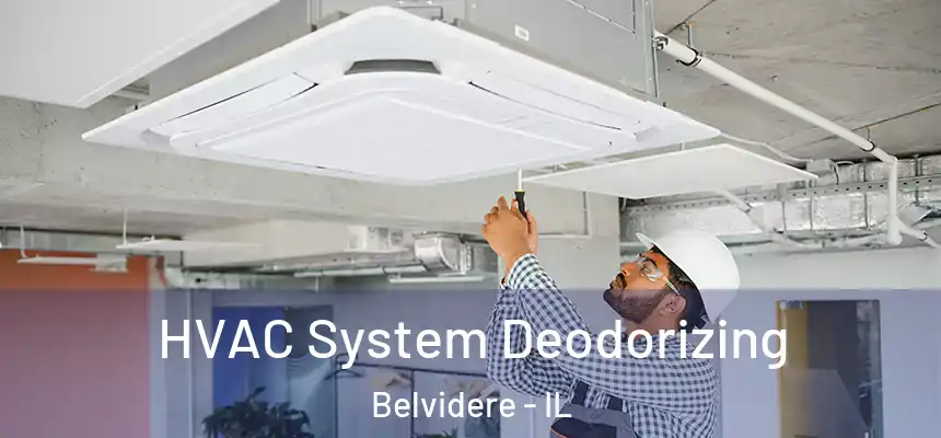  HVAC System Deodorizing Belvidere - IL