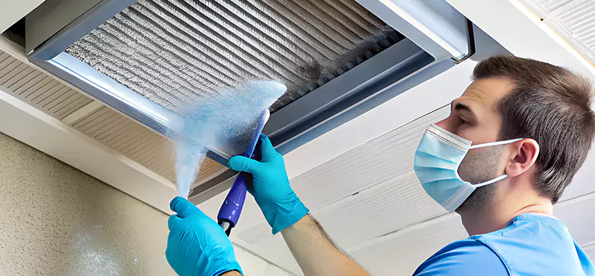 Proactive Dryer Vent & Auxiliary Duct Pollen Cleanup in Belvidere, IL