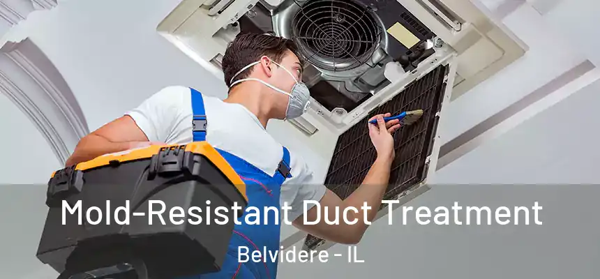 Mold-Resistant Duct Treatment Belvidere - IL