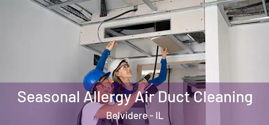  Seasonal Allergy Air Duct Cleaning Belvidere - IL