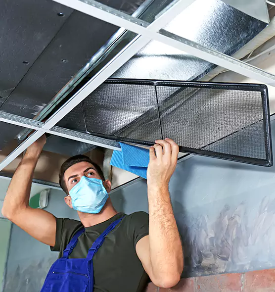 About Air Duct Bacteria Removal in Belvidere