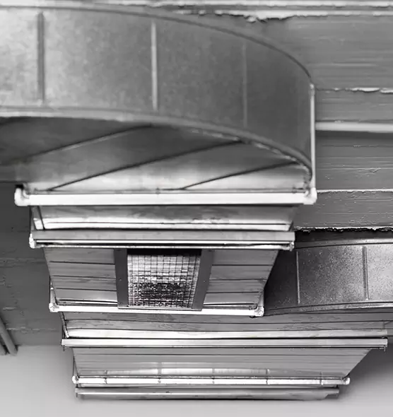 Professional Air Duct Pest Removal in Belvidere, IL