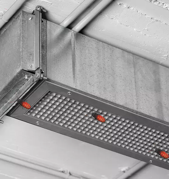 Affordable Insect Removal from Air Ducts in Belvidere, IL